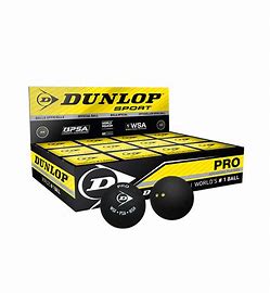Dunlop Double Dot Squash Balls by the Dozen 